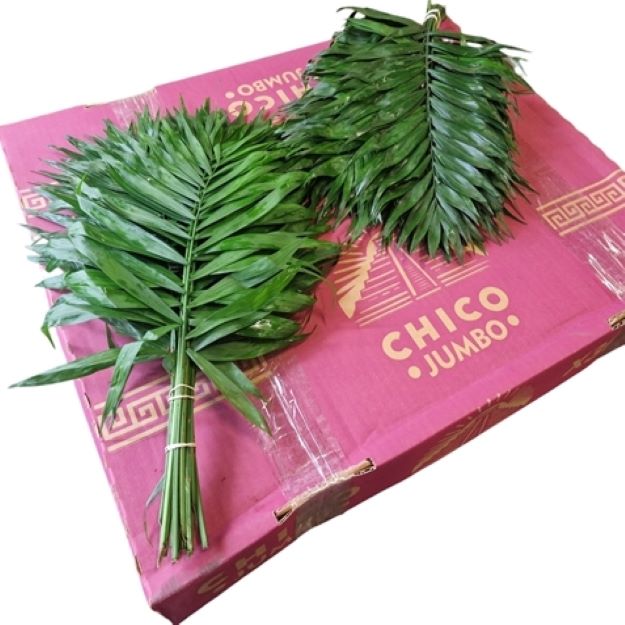 Dec.bunch chico jumbo00