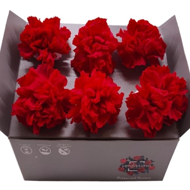 Ice dry carnation red 5cm 00