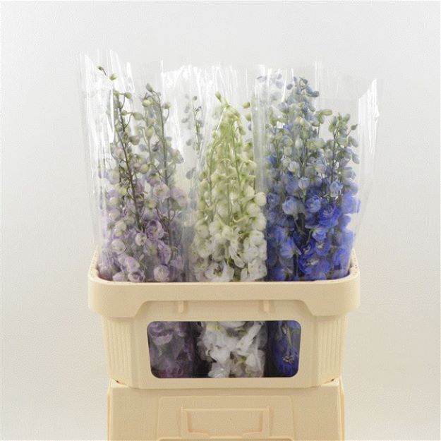 Delph (el) mixed 80cm