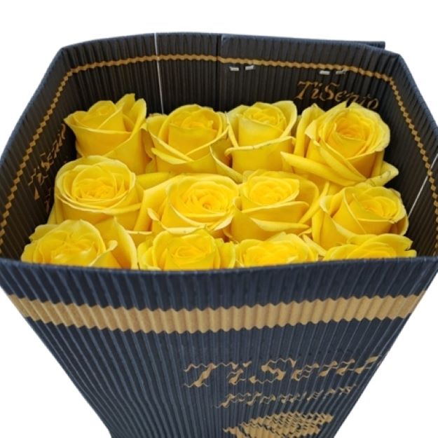 Rosa gr goldfinch x25 (ec) 50cm00