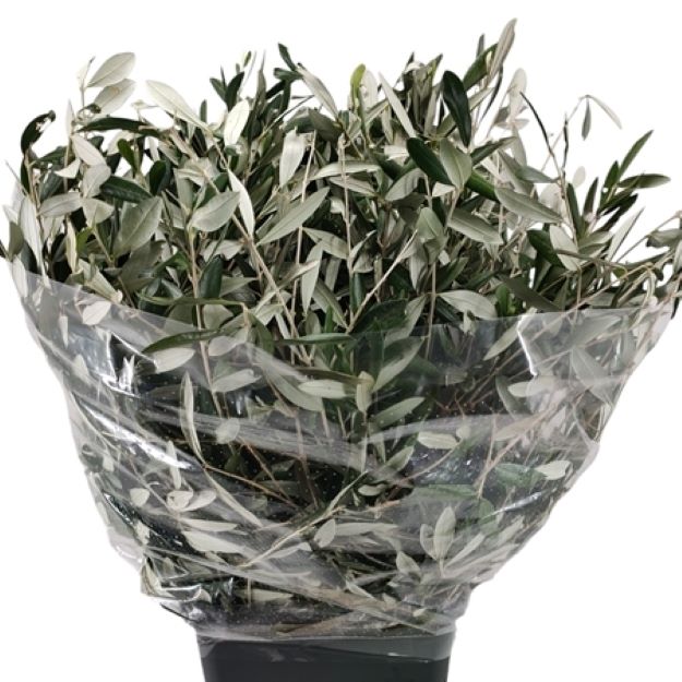 Dec.bunch olivio 60cm 300gram00