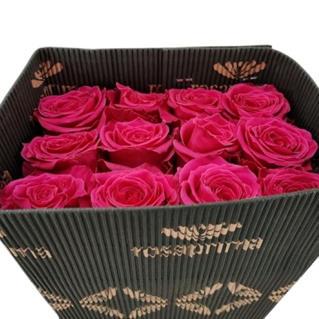 Rosa gr full monty x25 (ec) 60cm00