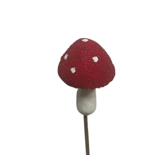 pik_pec_2-removebg-preview