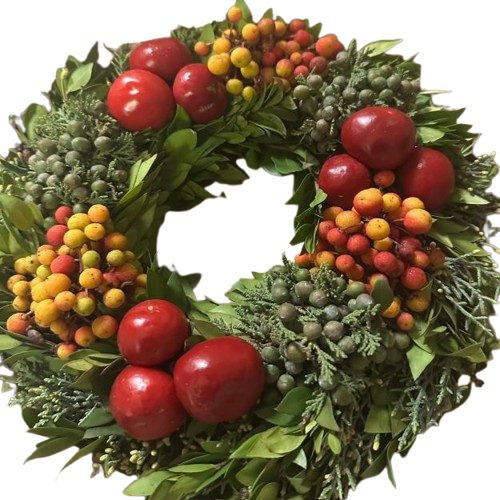 vencic_2-removebg-preview